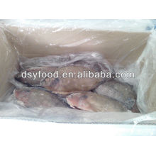 fresh frozen black Tilapia price